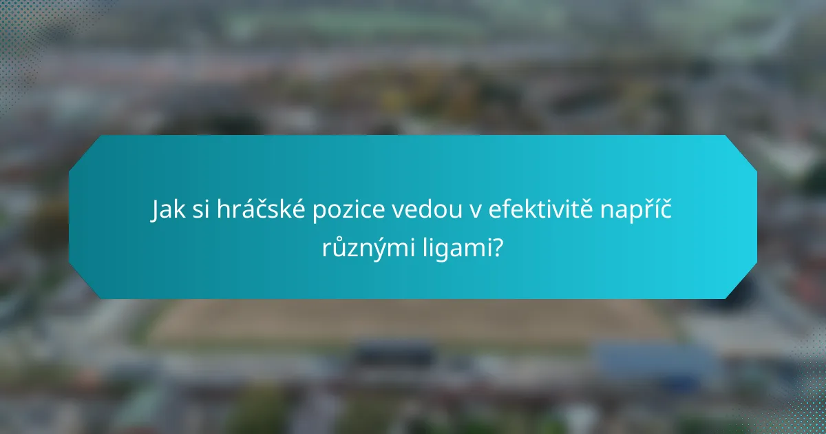 Jak si hráčské pozice vedou v efektivitě napříč různými ligami?