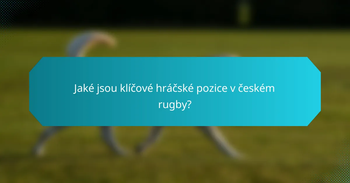 Jaké jsou klíčové hráčské pozice v českém rugby?