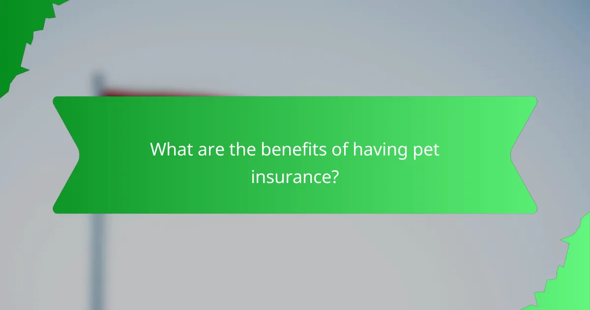 What are the benefits of having pet insurance?