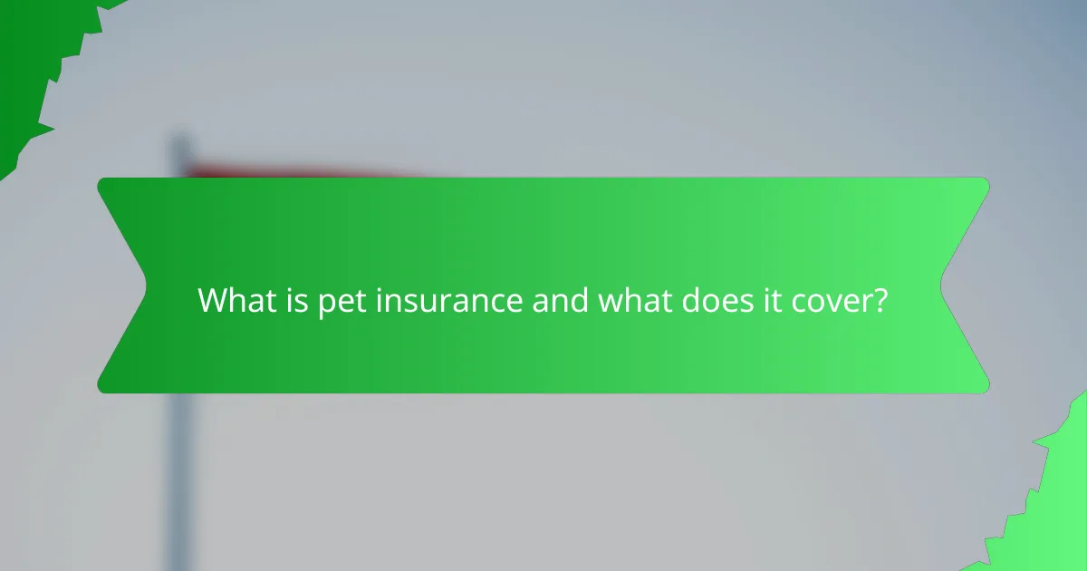 What is pet insurance and what does it cover?
